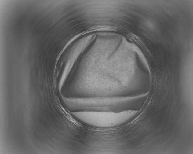 X0000052931236200507292344