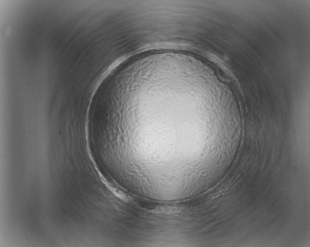 X0000052931237200507292344