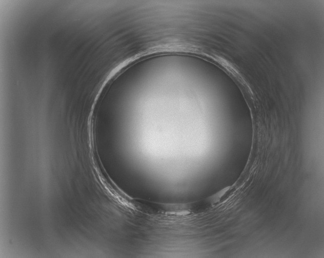 X0000052931238200507292344