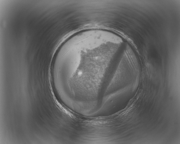 X0000052931239200507292344