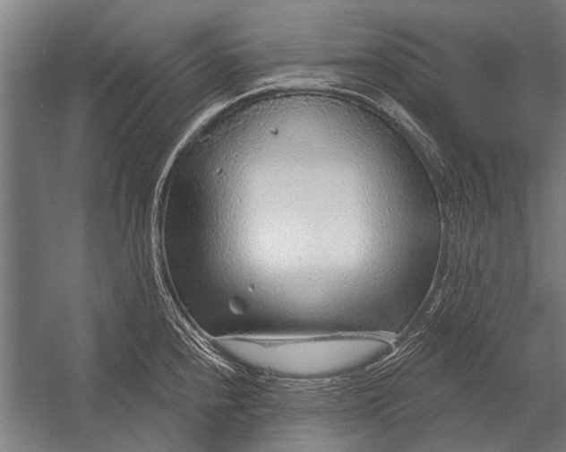 X0000052931240200507292344