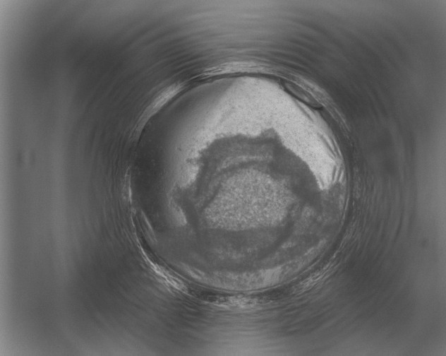 X0000052931241200507292344