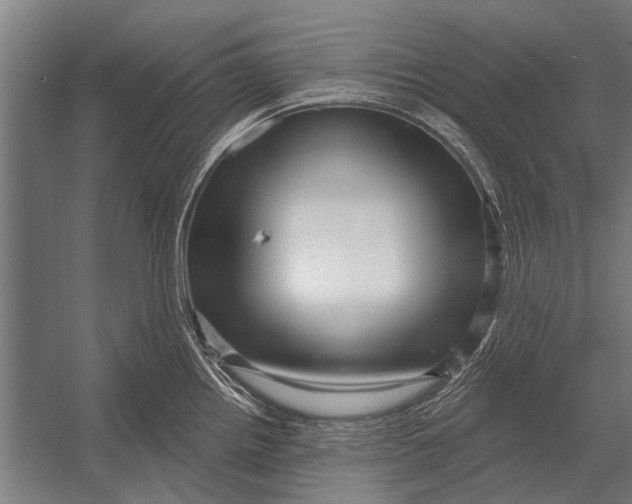 X0000052931242200507292344