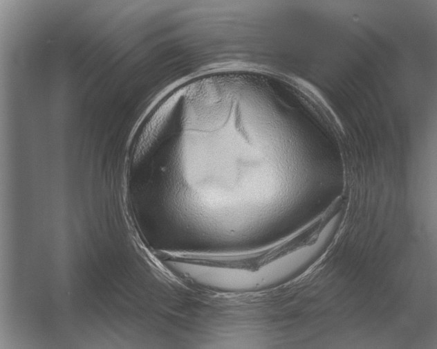 X0000052931244200507292344