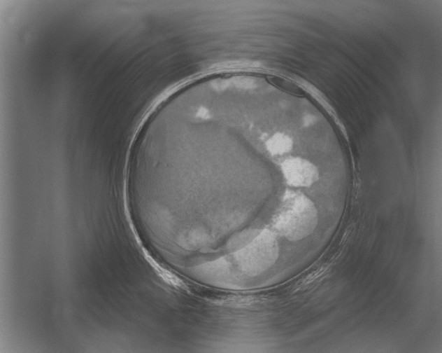 X0000052931245200507292344