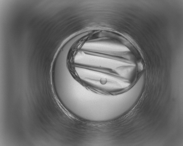 X0000052931246200507292344