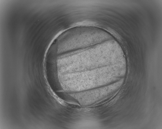 X0000052931248200507292344