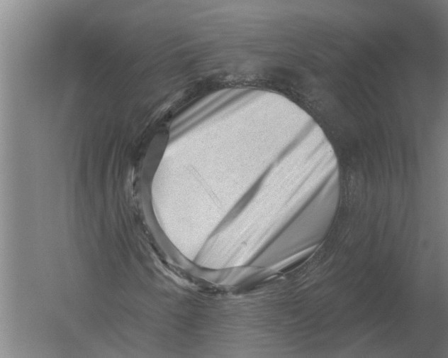 X0000052931250200507292343