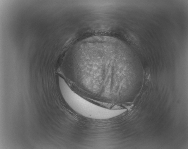 X0000052931252200507292343