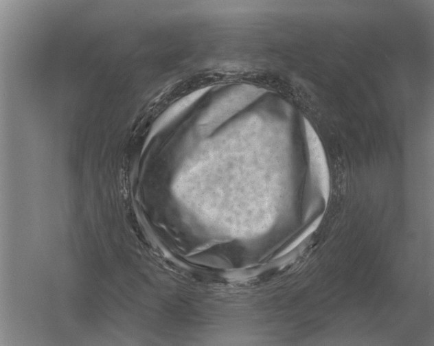 X0000052931253200507292343