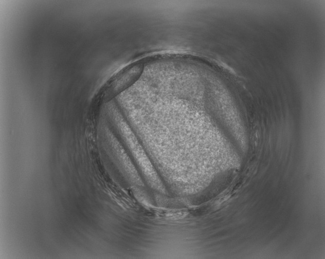 X0000052931255200507292343