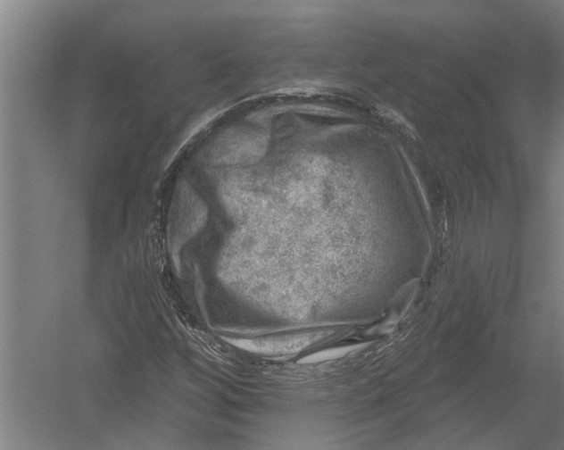 X0000052931256200507292343