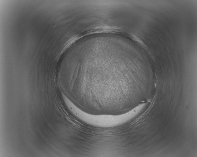 X0000052931259200507292343