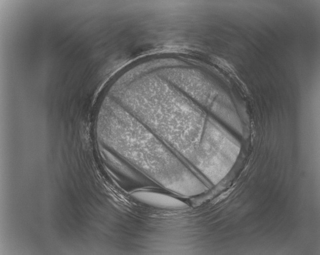 X0000052931260200507292343