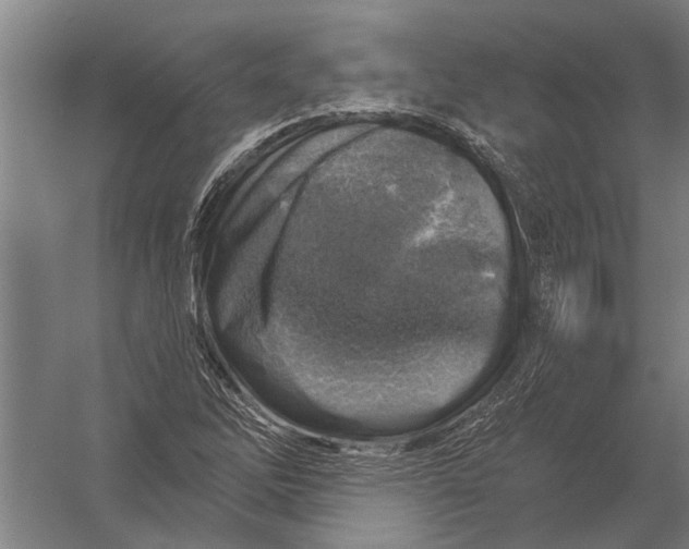 X0000052931262200507292343