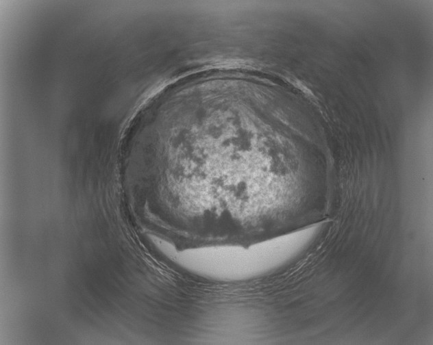 X0000052931263200507292343