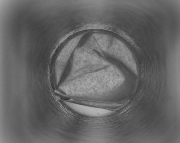 X0000052931264200507292343