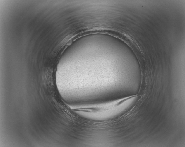 X0000052931265200507292343