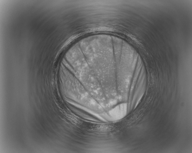 X0000052931266200507292343