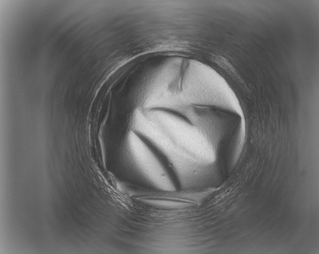 X0000052931268200507292343