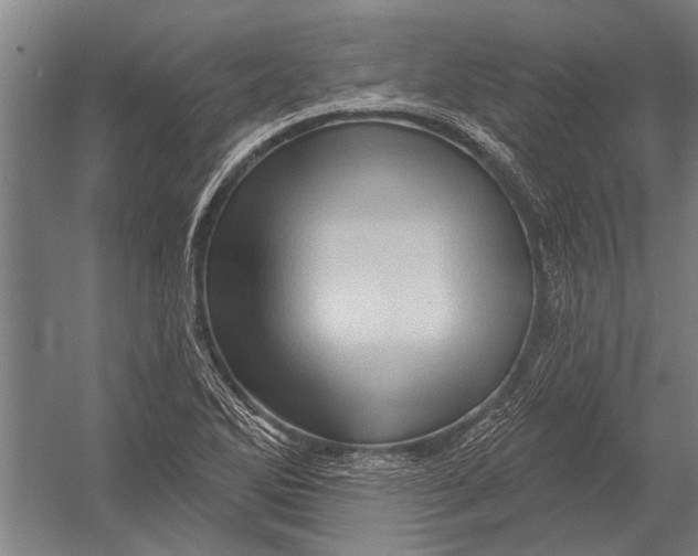 X0000052931270200507292343