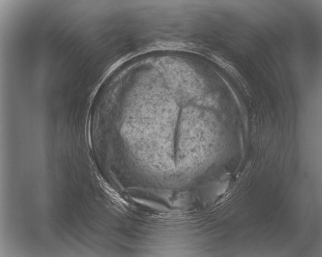 X0000052931272200507292343