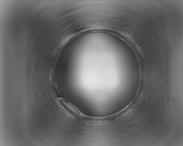 X0000052931273200507292343