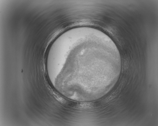 X0000052931274200507292343