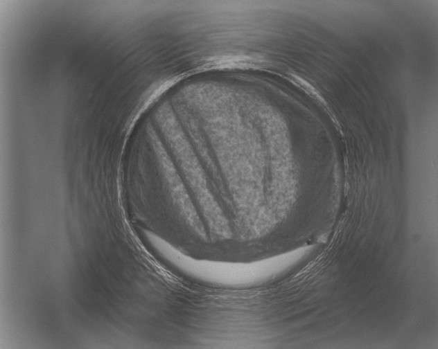 X0000052931277200507292342