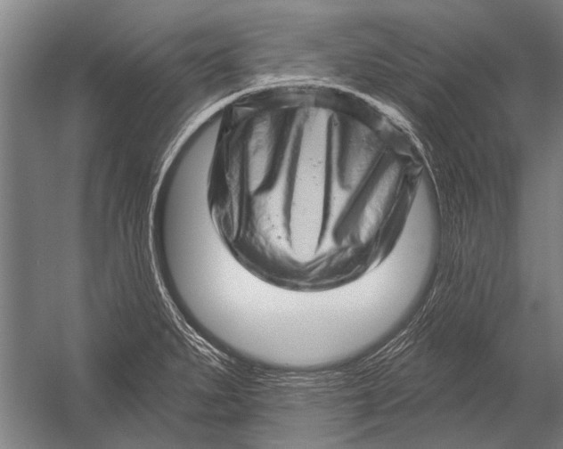 X0000052931279200507292342