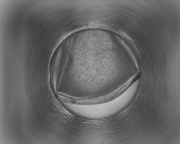 X0000052931280200507292342