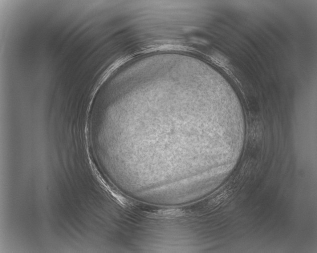 X0000052931282200507292342