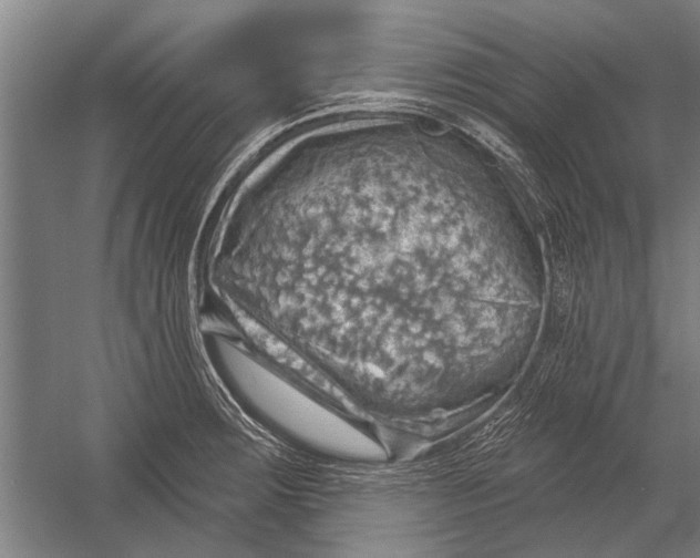 X0000052931283200507292342