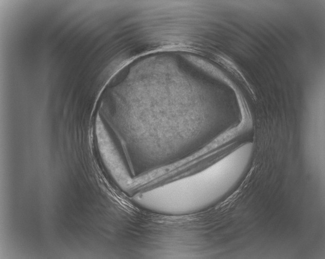 X0000052931284200507292342