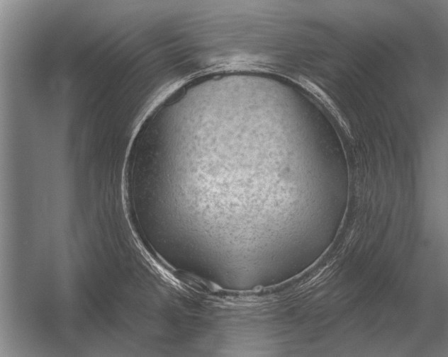 X0000052931285200507292342