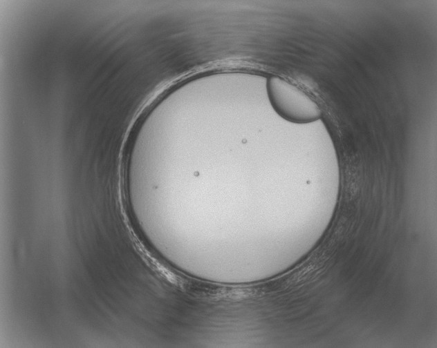 X0000052931286200507292342