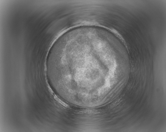 X0000052931287200507292342