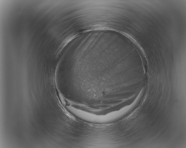 X0000052931289200507292342