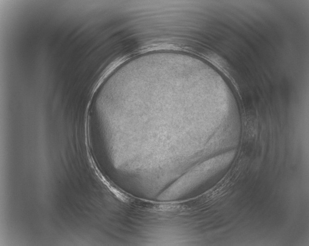 X0000052931290200507292342