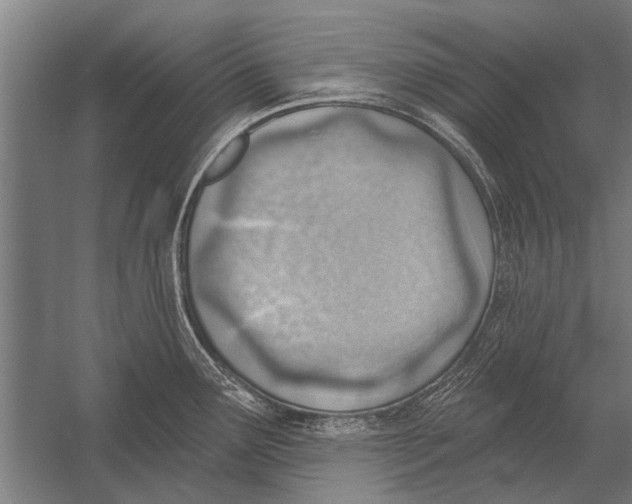 X0000052931291200507292342