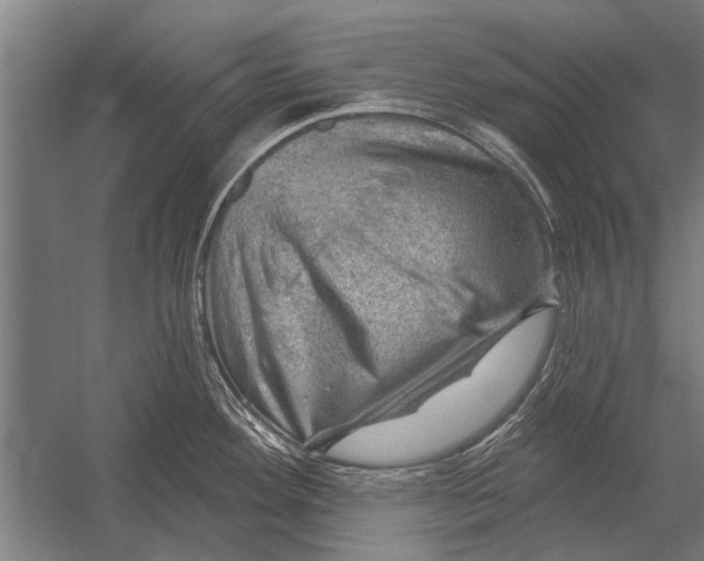 X0000052931292200507292342