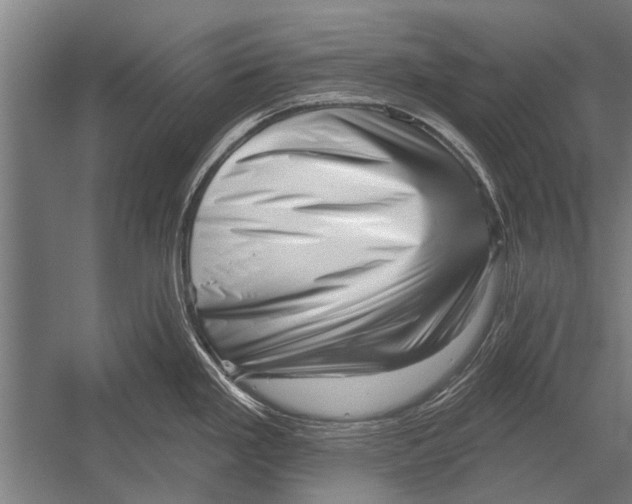 X0000052931293200507292342