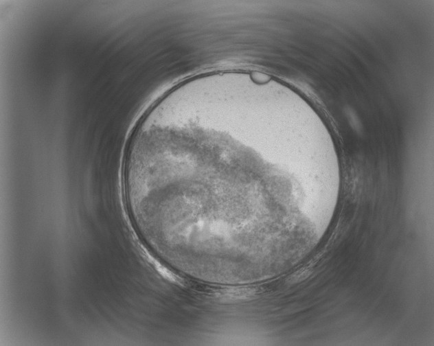 X0000052931294200507292342