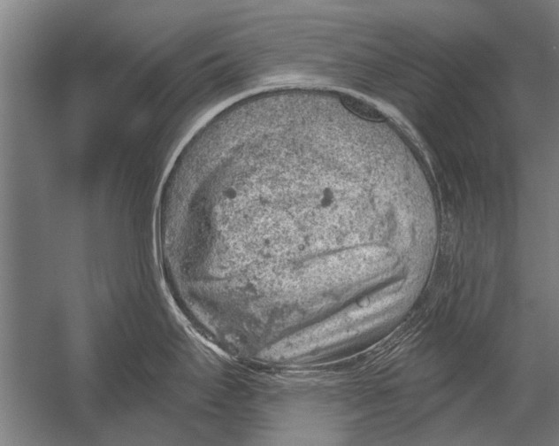 X0000052931295200507292342