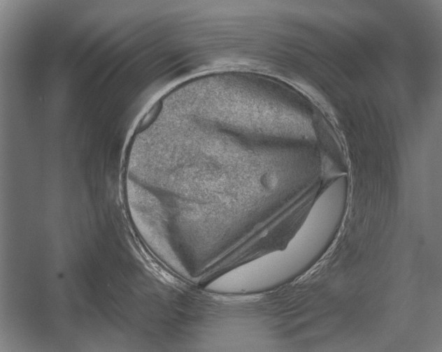 X0000052931296200507292342