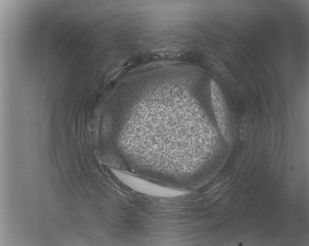 X0000052931298200507292341