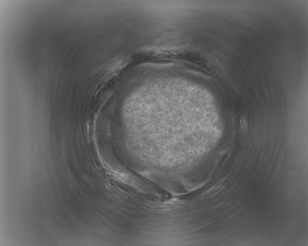 X0000052931300200507292341