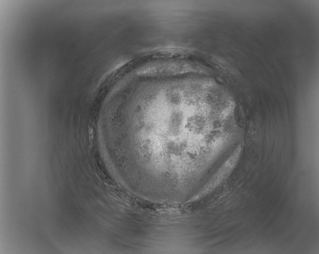 X0000052931302200507292341