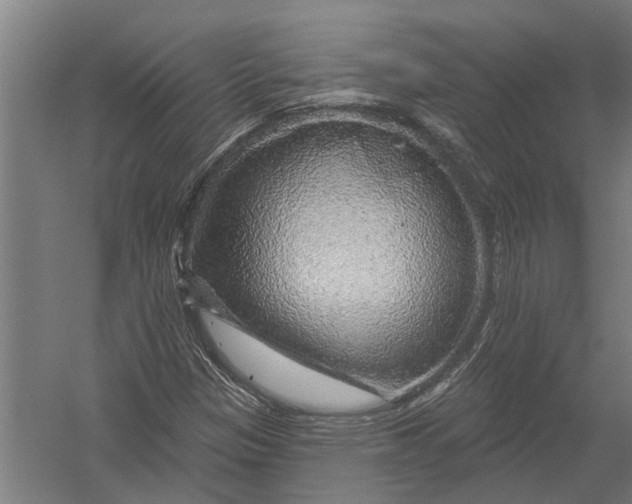 X0000052931305200507292341