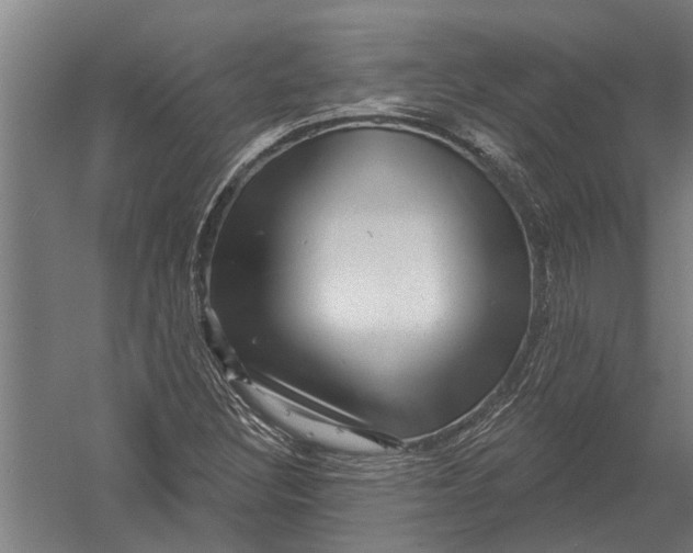 X0000052931308200507292342